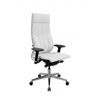 Кресло Samurai L1-10D - Infinity /Kc06/Nc06/D04P(M26.B32.G25.W03) (Белый)