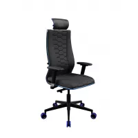 Кресло SynchroSit 10 B2-244D - UMF(SY271) /Kblum44/Wblum44/D03P/H19blumL-2D(M24.B11.G19.W33) (Черн(син.стр))