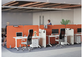 R-LINE soft R-LINE soft