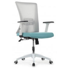 Кресло RCH B259Y-01 Серый/Голубой