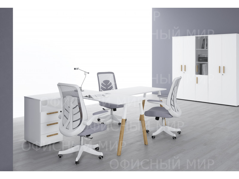 FORTA Белый премиум/ Белый + CHAIRMAN CH565 Серый