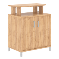 Фригобар (без холодильника) B 450.1 Дуб Бофорд