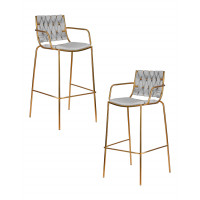 Набор 2 шт Стул барный DOBRIN MILLER GOLD (cветло-серый велюр (135-37))