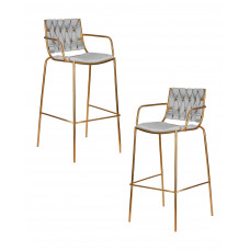 Набор 2 шт Стул барный DOBRIN MILLER GOLD (cветло-серый велюр (135-37))