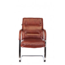 Кресло Бюрократ T-9927SL-LOW-V светло-коричневый Leather Eichel кожа низк.спин. полозья металл хром