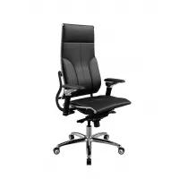 Move L1-10D - Infinity /Kc06/Nc06/D06P(M06.B34.G04.W04) (Черный (бежевая строчка))