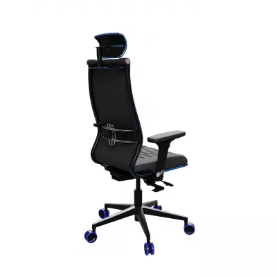 SynchroSit 10 B2-244D - UMF(SY271) /Kblum44/Wblum44/D02P/H19blumL-1DF(M18.B11.G19.W33) (Черн(син.стр))